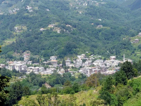 Moconesi