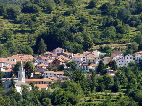 Propata