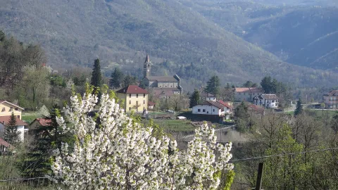 Our Lady of the Assumption, patroness of the town born around Italy's first Cistercian abbey