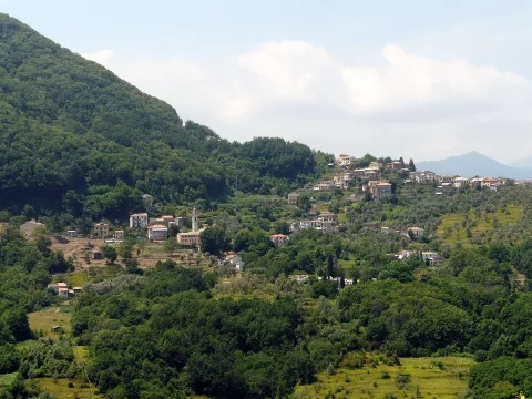 Tribogna