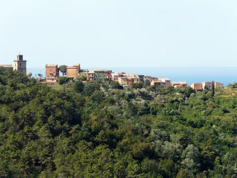San Martino, patrono con una chiesa e una torre carolingia della frazione di Costa