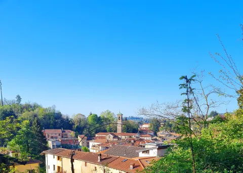 Induno Olona