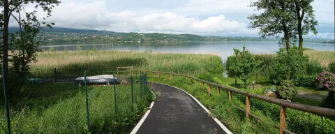 Varese