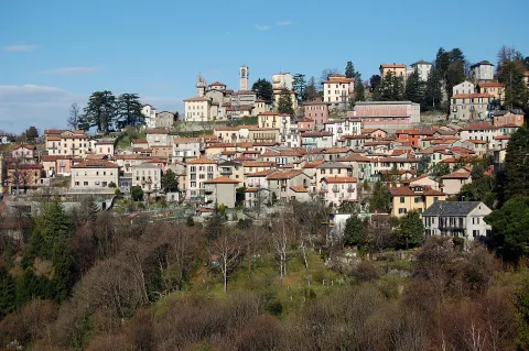 Brunate