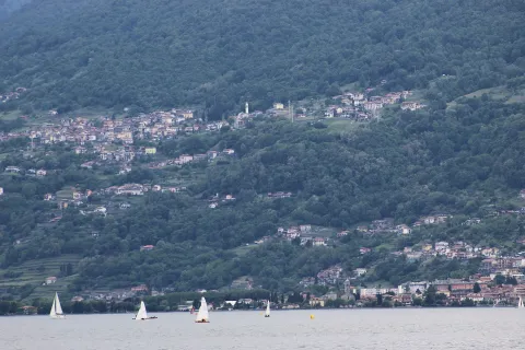 Stazzona