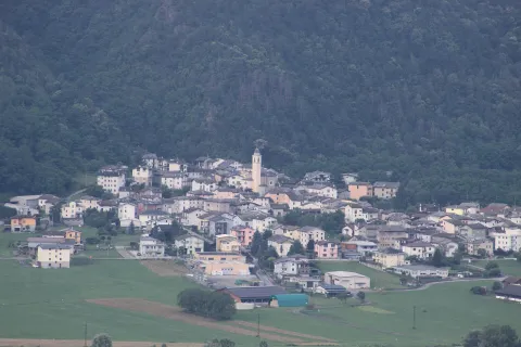 Cedrasco