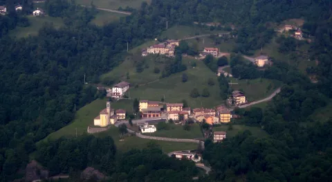 Algua