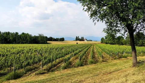 Capriano del Colle
