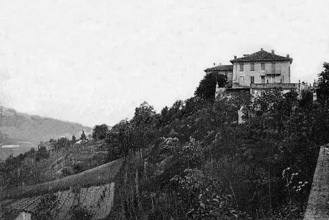Castana