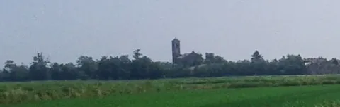 Suardi