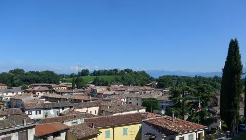 Sant'Antonio Abate, patrono di Ponti sul Mincio