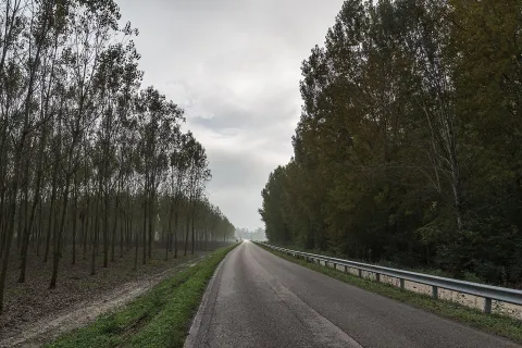 Viadana