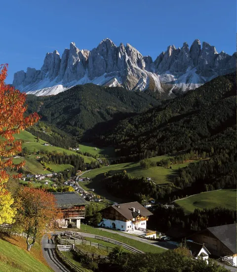 Funes