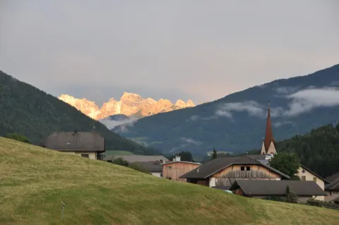 Perca