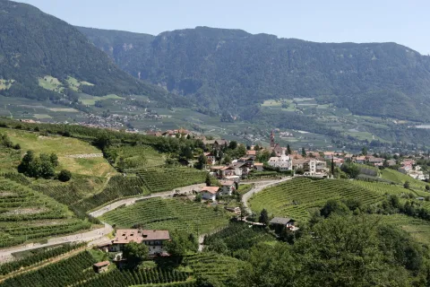 Tirolo