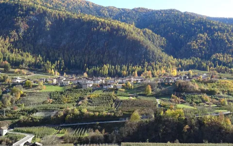 Festa di San Martino