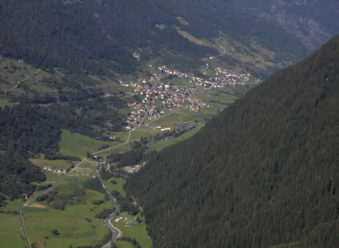 Vermiglio