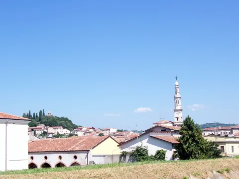 Sant'Antonio Abate, patrono della Montefortiana