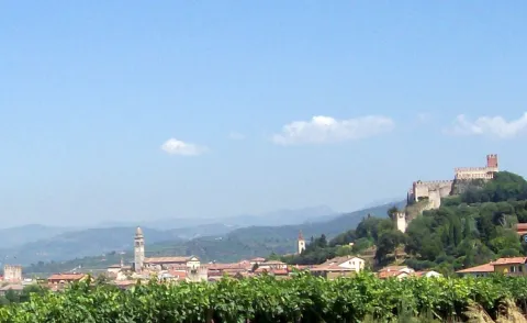 Soave