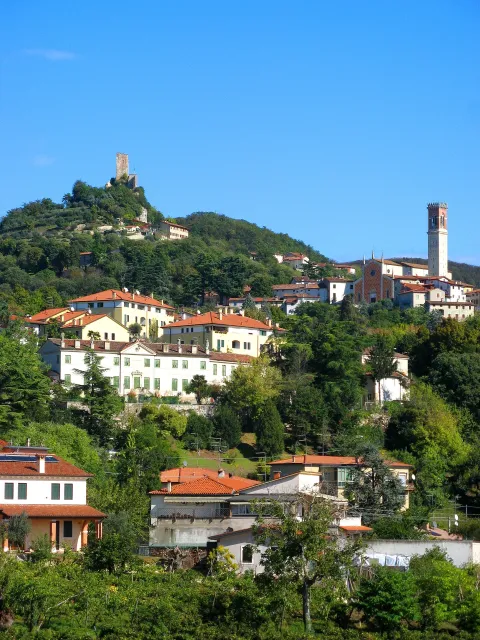 Saint Roch, patron de la délivrance de la peste