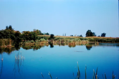 Mogliano Veneto