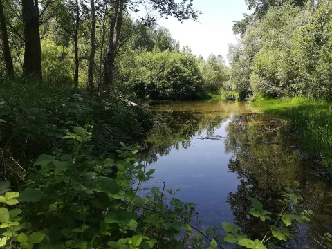 Fontaniva
