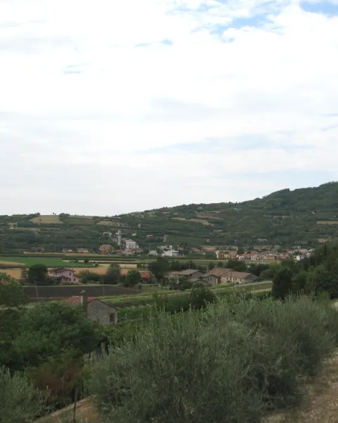 San Giuseppe, patrono di Lozzo Atestino