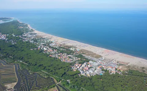 Rosolina