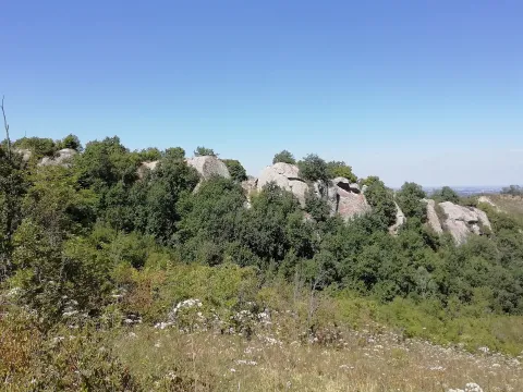Zola Predosa