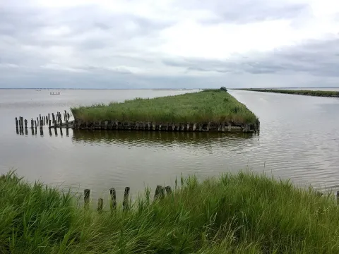 Comacchio