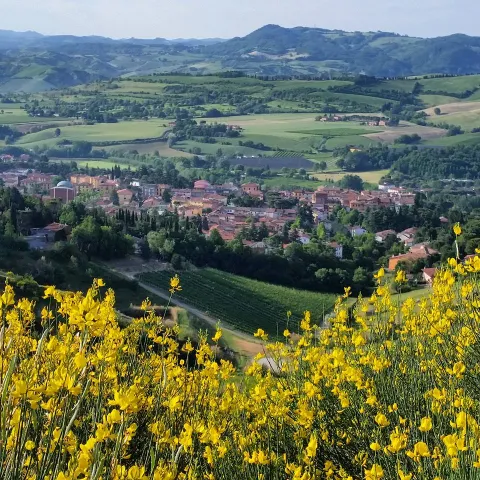 Riolo Terme