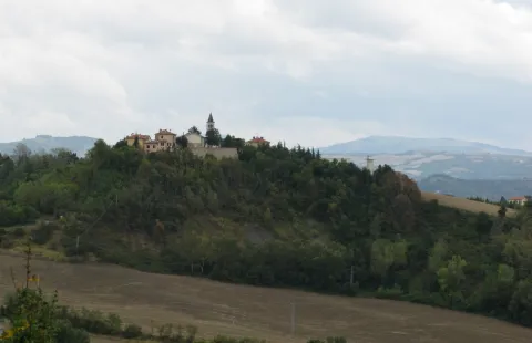 San Nicolás, patrono de Montecalvo in Foglia
