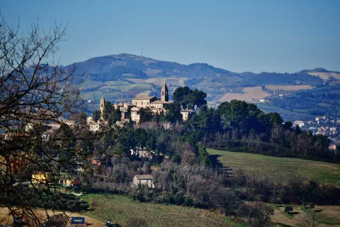 Colli al Metauro