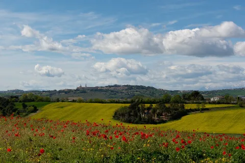 Recanati