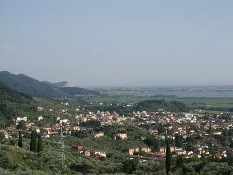 Massarosa