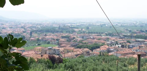 Montale