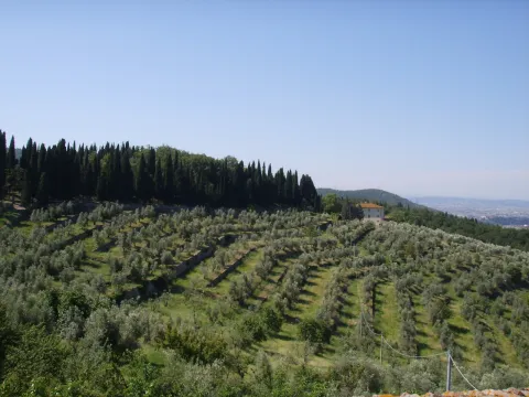 Calenzano