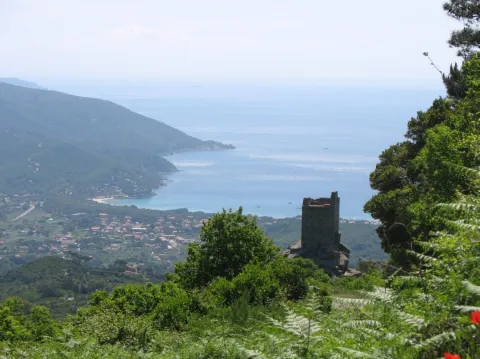 Campo nell'Elba