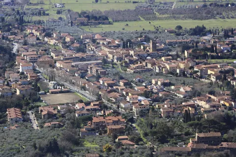 Calci