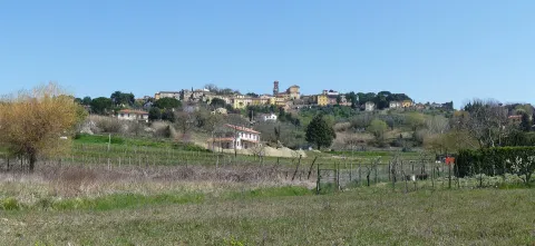 Crespina Lorenzana
