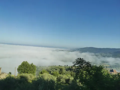 Cortona