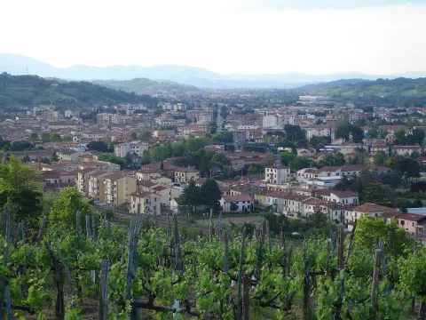 Historical black and white panoramic view of the town of Montevarchi with chimneys