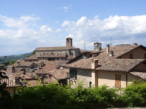 Montone