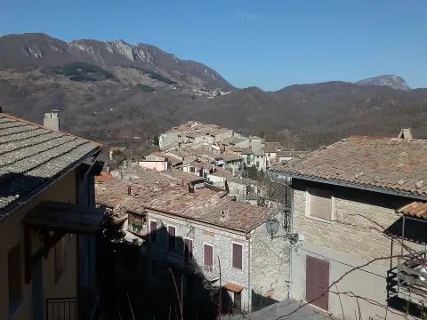 Nespolo