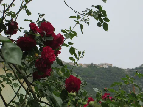 Cisterna di Latina