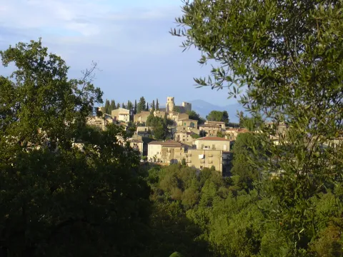 Pico