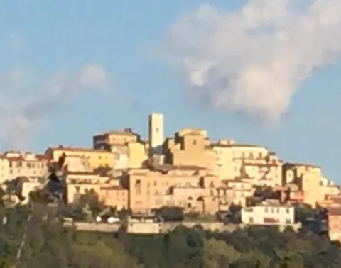 San Bernardino, san Sebastián y san Roque, patronos de la semana medieval