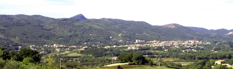 Alvignano