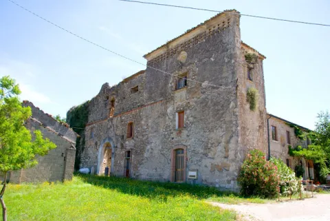 Festa di San Gerardo Maiella