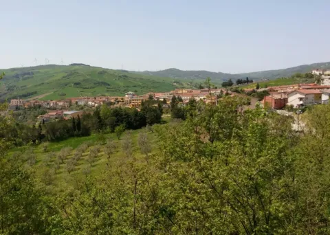 Festa di Sant'Antonio
